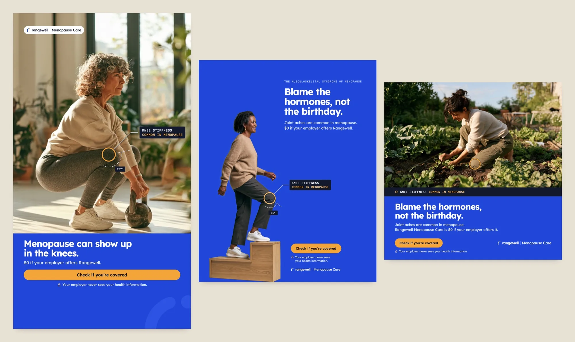 Rangewell: Paid Social